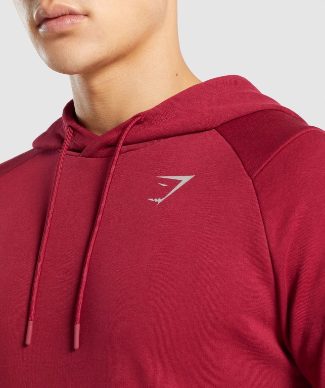 Burgundy Gymshark Bold Men's Hoodies | US-29IKPYH