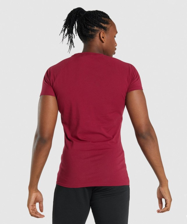 Burgundy Gymshark Critical 2.0 Men's T Shirts | US-43WZTXJ