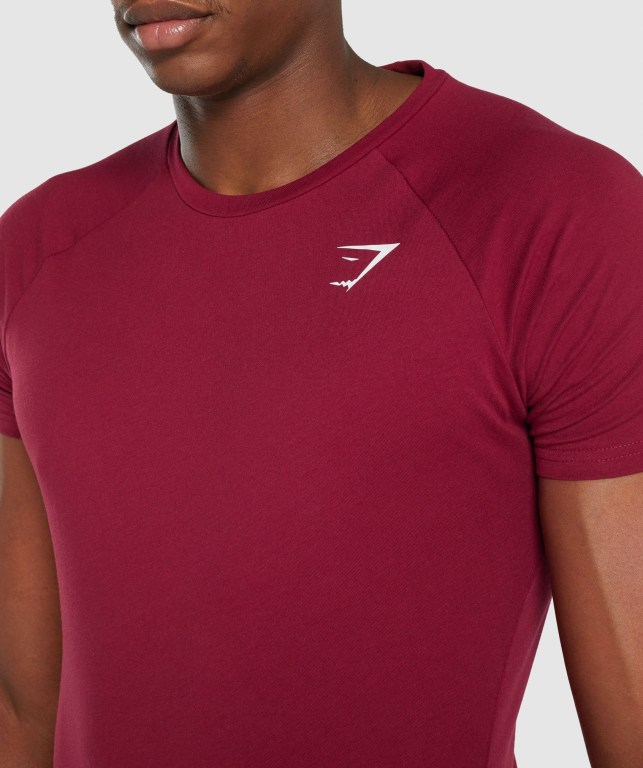 Burgundy Gymshark Critical 2.0 Men's T Shirts | US-43WZTXJ