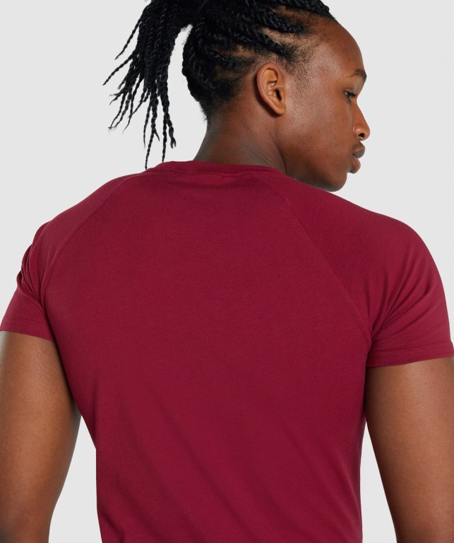 Burgundy Gymshark Critical 2.0 Men's T Shirts | US-43WZTXJ