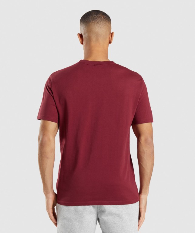 Burgundy Red Gymshark Crest Men's T Shirts | US-45HWVEZ