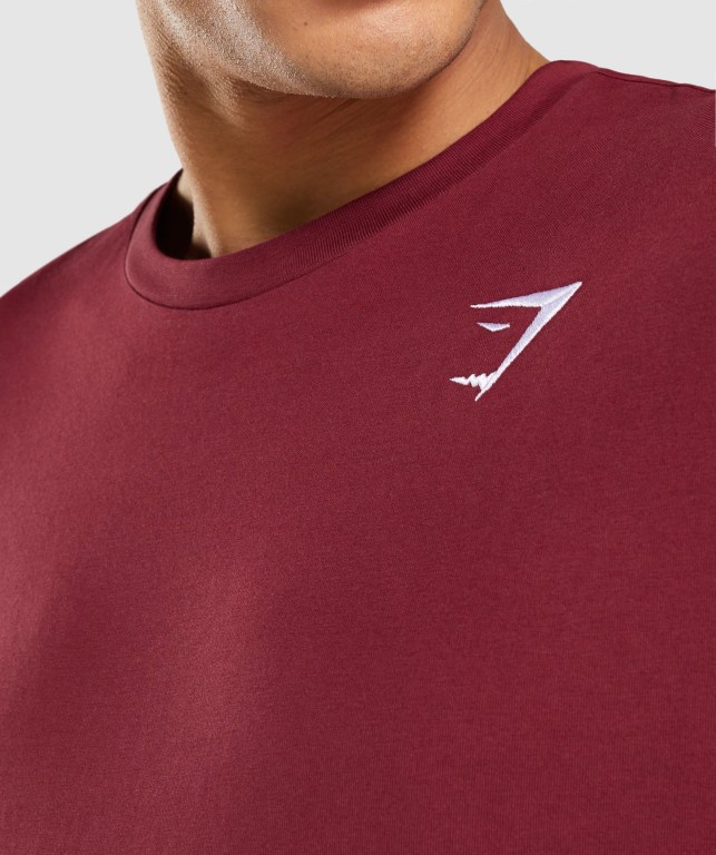 Burgundy Red Gymshark Crest Men's T Shirts | US-45HWVEZ