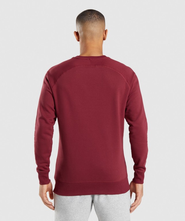 Burgundy Red Gymshark Crest Sweatshirt Men's Hoodies | US-38WLXRN