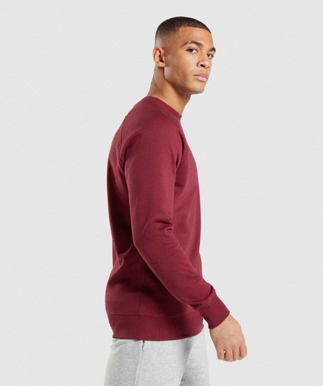 Burgundy Red Gymshark Crest Sweatshirt Men's Hoodies | US-38WLXRN