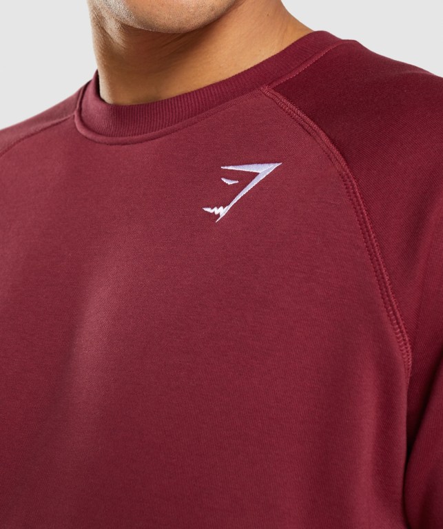 Burgundy Red Gymshark Crest Sweatshirt Men's Hoodies | US-38WLXRN