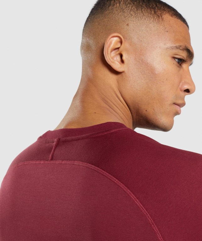 Burgundy Red Gymshark Crest Sweatshirt Men's Hoodies | US-38WLXRN