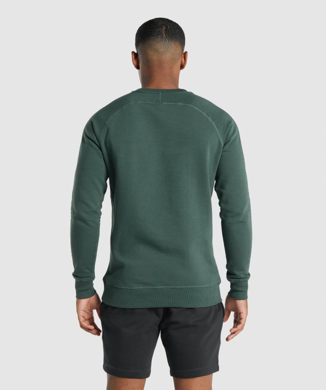 Dark Green Gymshark Crest Sweatshirt Men's Hoodies | US-46NJHFT