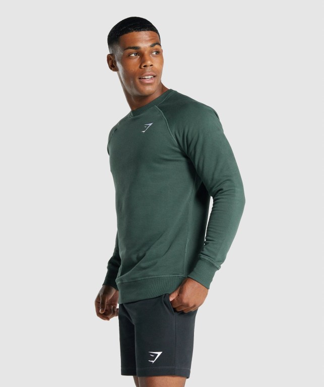 Dark Green Gymshark Crest Sweatshirt Men's Hoodies | US-46NJHFT