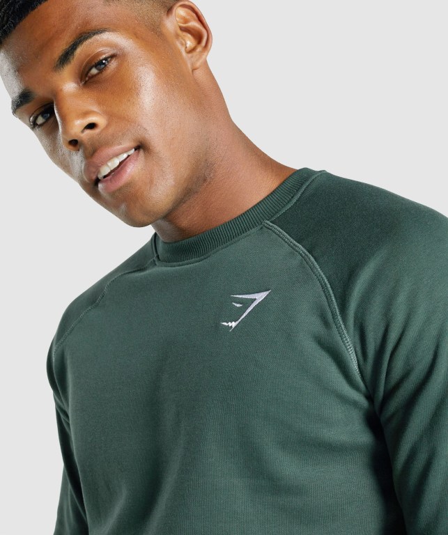 Dark Green Gymshark Crest Sweatshirt Men's Hoodies | US-46NJHFT