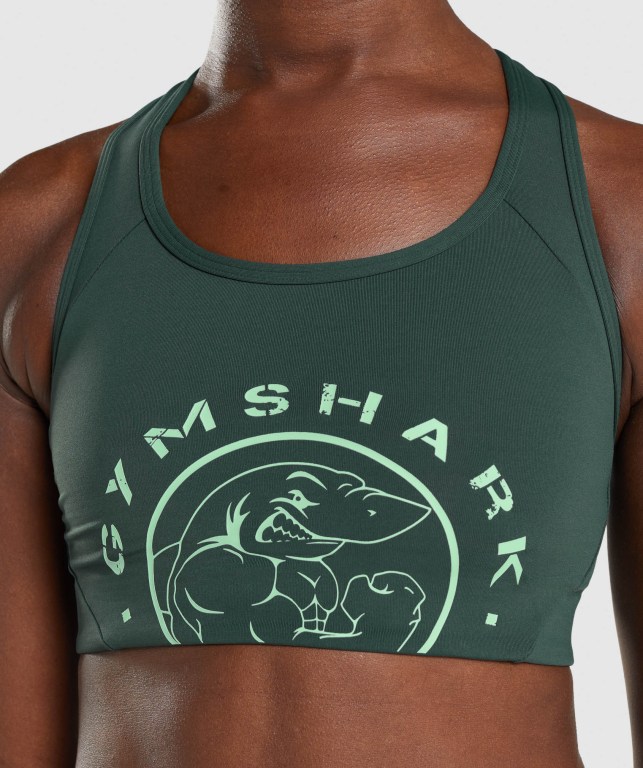 Dark Green Gymshark Legacy Graphic Women's Sports Bra | US-13IPZOG