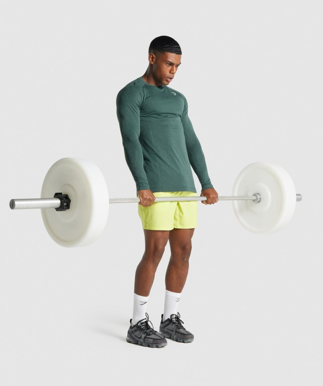 Dark Green Gymshark Vital Light Seamless Men's T Shirts | US-71ENMVC