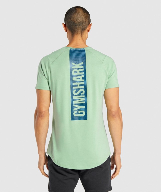 Green Gymshark Bold Men's T Shirts | US-41HGKZT