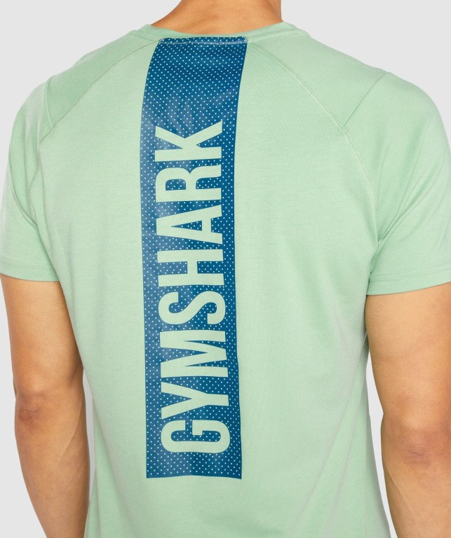 Green Gymshark Bold Men's T Shirts | US-41HGKZT