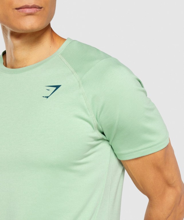 Green Gymshark Bold Men's T Shirts | US-41HGKZT