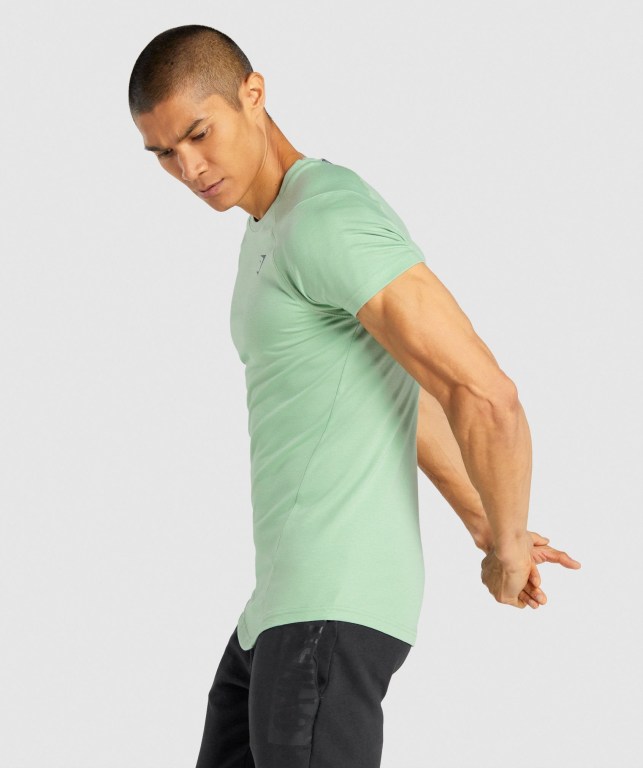 Green Gymshark Bold Men's T Shirts | US-98ETIUH