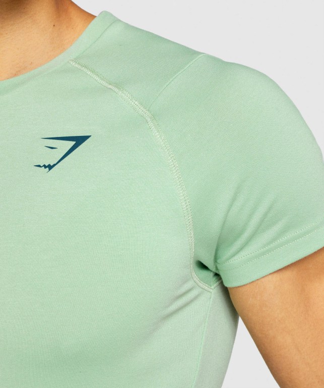 Green Gymshark Bold Men's T Shirts | US-98ETIUH