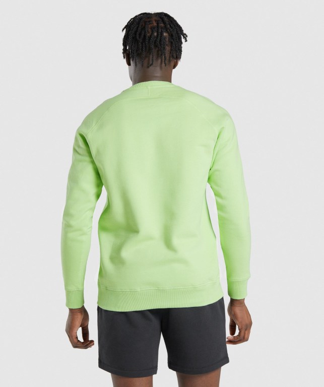 Green Gymshark Crest Sweatshirt Men's Hoodies | US-30IJCFP