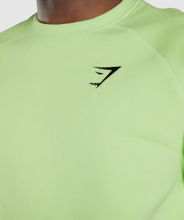 Green Gymshark Crest Sweatshirt Men's Hoodies | US-30IJCFP