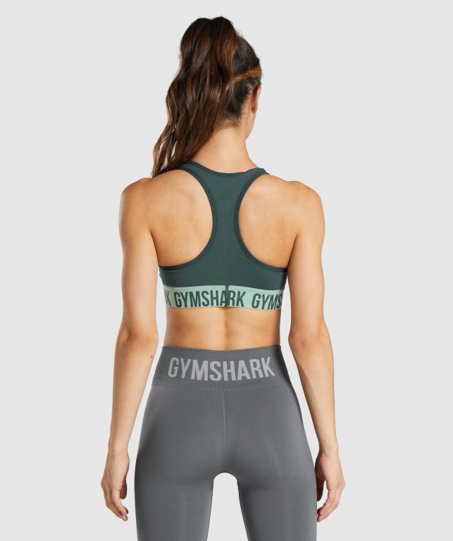 Green Gymshark Fit Seamless Women's Sports Bra | US-10KHLMY