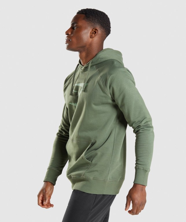 Green Gymshark Sharkhead Infill Men's Hoodies | US-43BJEVK