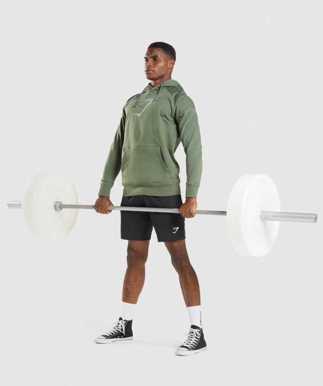 Green Gymshark Sharkhead Infill Men's Hoodies | US-43BJEVK