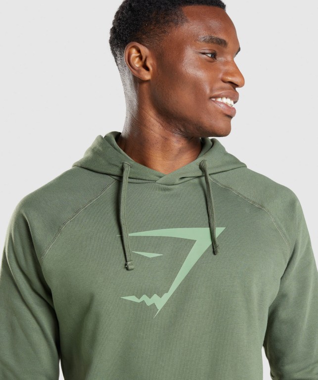 Green Gymshark Sharkhead Infill Men's Hoodies | US-43BJEVK