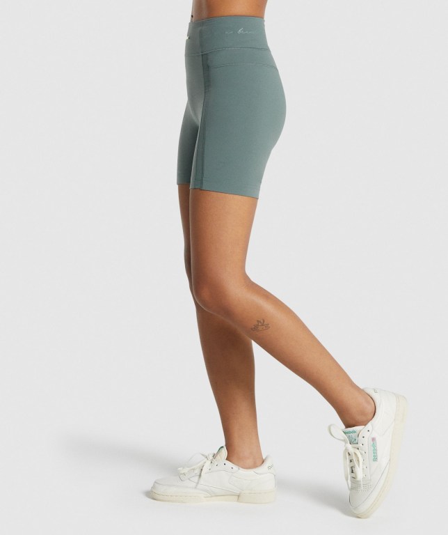 Green Gymshark Whitney Mesh Women's Shorts | US-47MKBDV