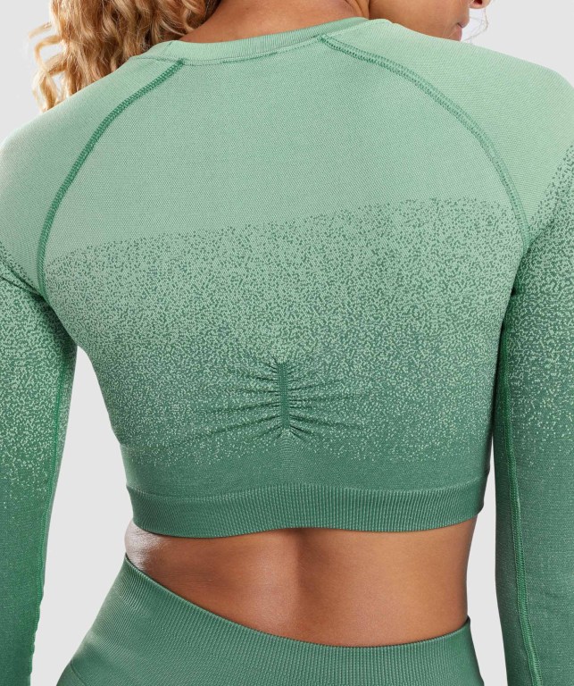 Green / Light Green Gymshark Adapt Ombre Seamless Crop Top Women's Sweatshirts | US-85CQLPY