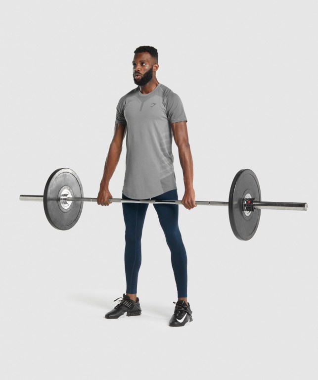 Grey Gymshark 315 Men's T Shirts | US-14SXKOP