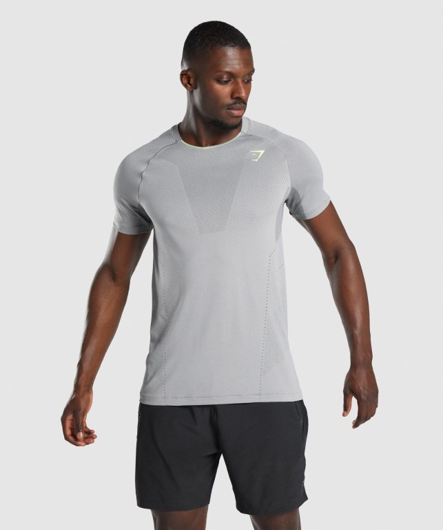 Grey Gymshark Apex Seamless Men\'s T Shirts | US-21DZEGQ