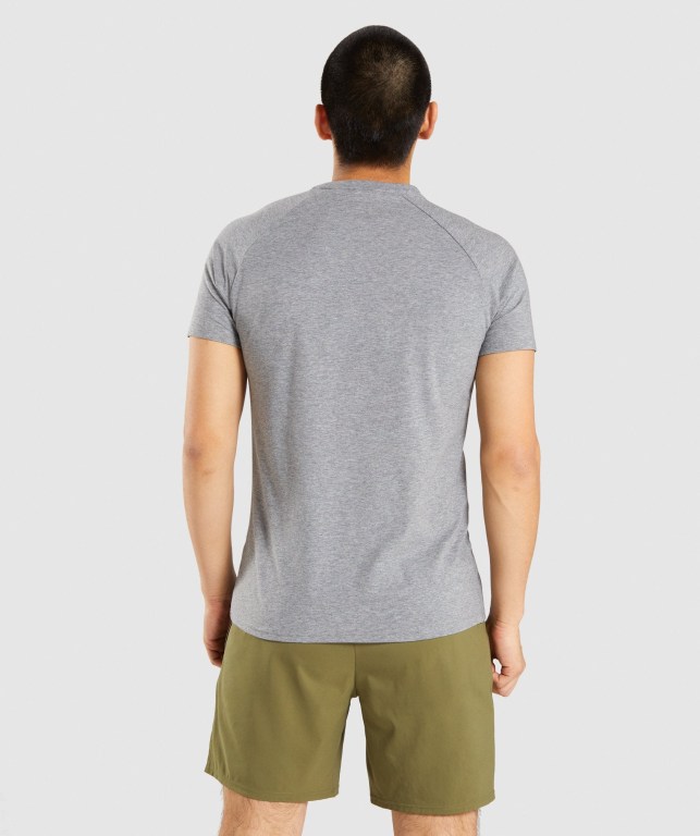 Grey Gymshark Apollo Men's T Shirts | US-06GJAID