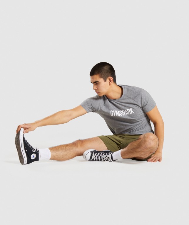 Grey Gymshark Apollo Men's T Shirts | US-06GJAID