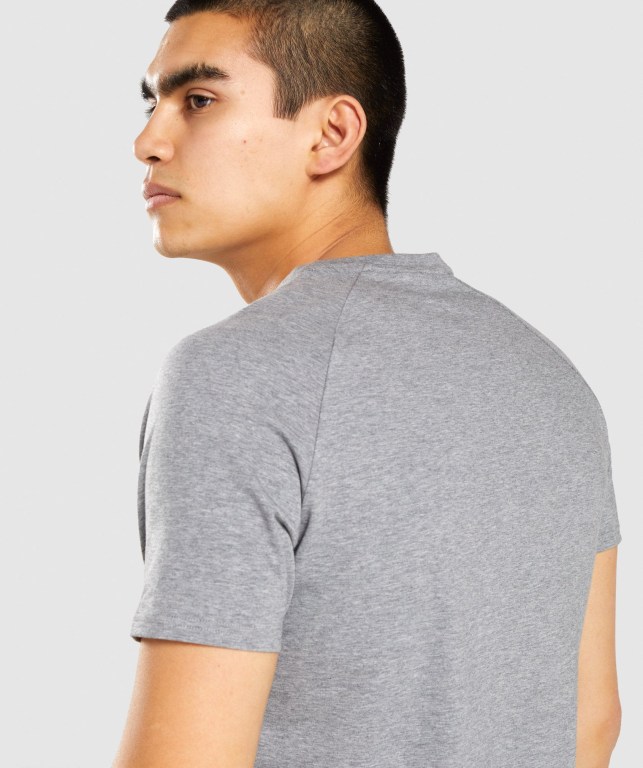 Grey Gymshark Apollo Men's T Shirts | US-06GJAID