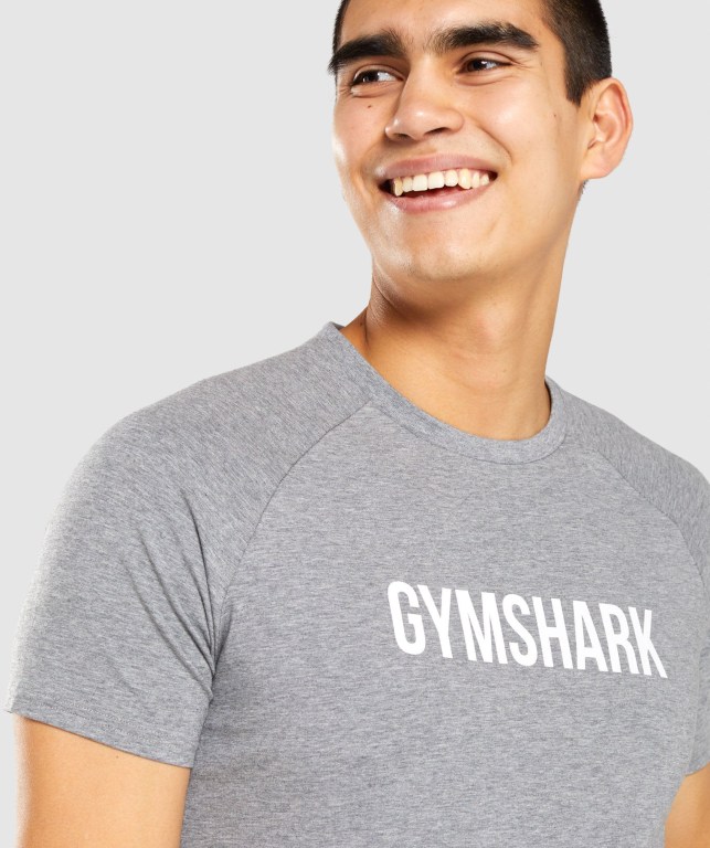 Grey Gymshark Apollo Men's T Shirts | US-06GJAID