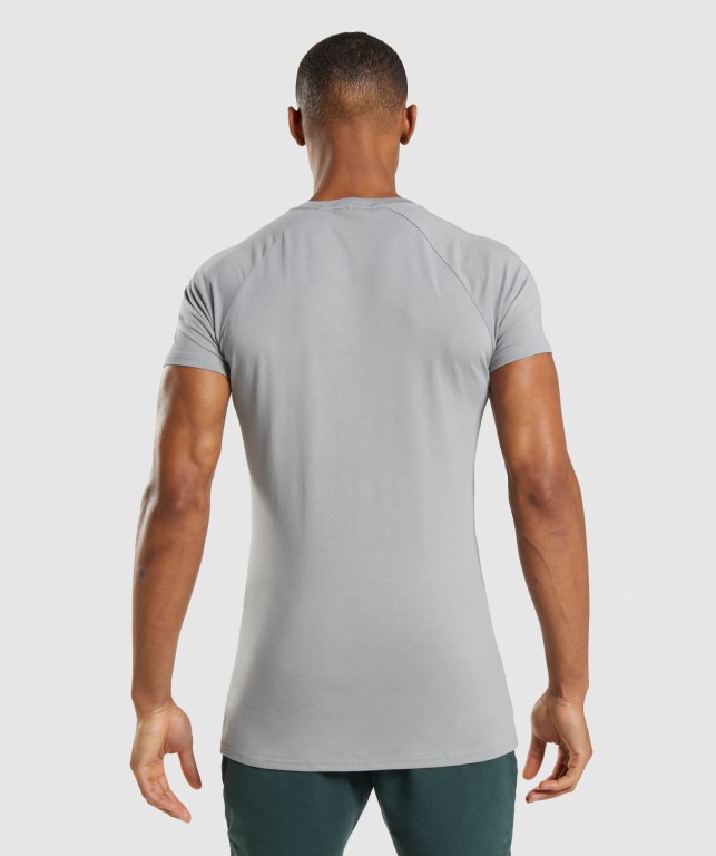 Grey Gymshark Apollo Men's T Shirts | US-21FWYLS