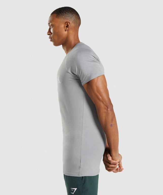 Grey Gymshark Apollo Men's T Shirts | US-21FWYLS