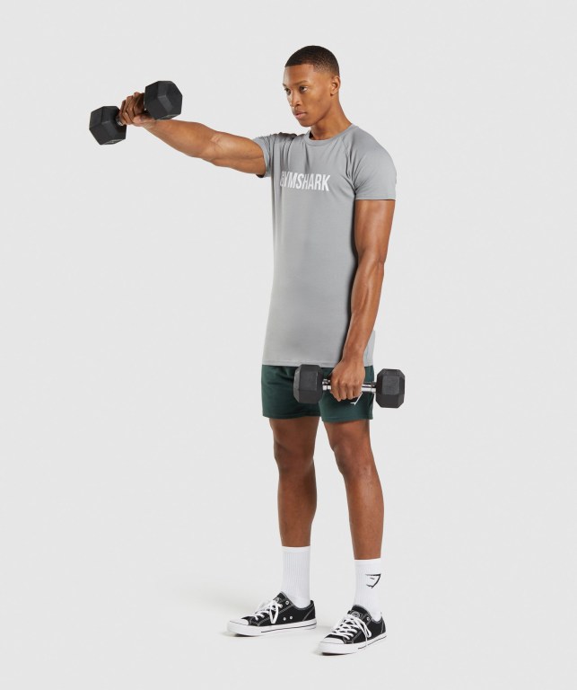 Grey Gymshark Apollo Men's T Shirts | US-21FWYLS