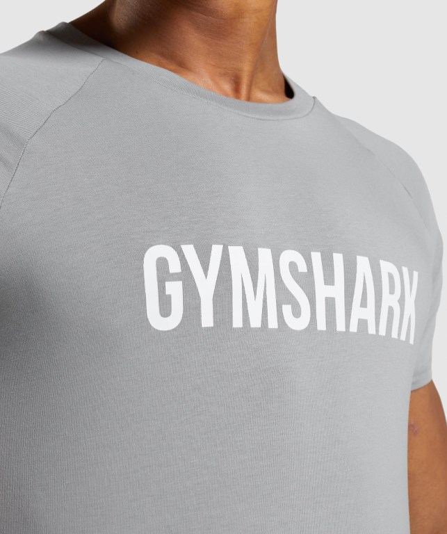 Grey Gymshark Apollo Men's T Shirts | US-21FWYLS