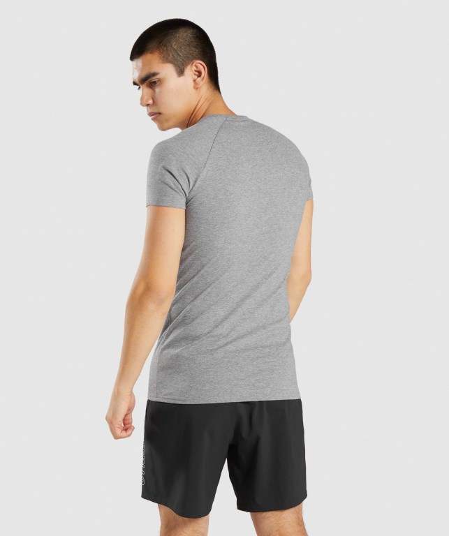 Grey Gymshark Apollo Men's T Shirts | US-37TRAGH