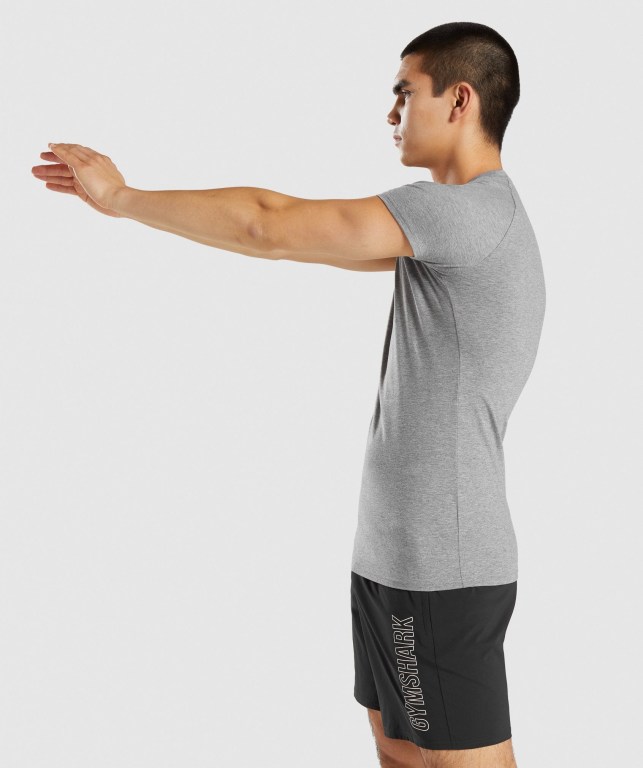 Grey Gymshark Apollo Men's T Shirts | US-37TRAGH