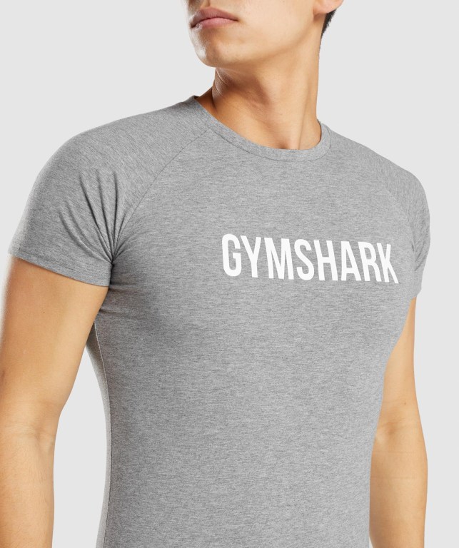 Grey Gymshark Apollo Men's T Shirts | US-37TRAGH