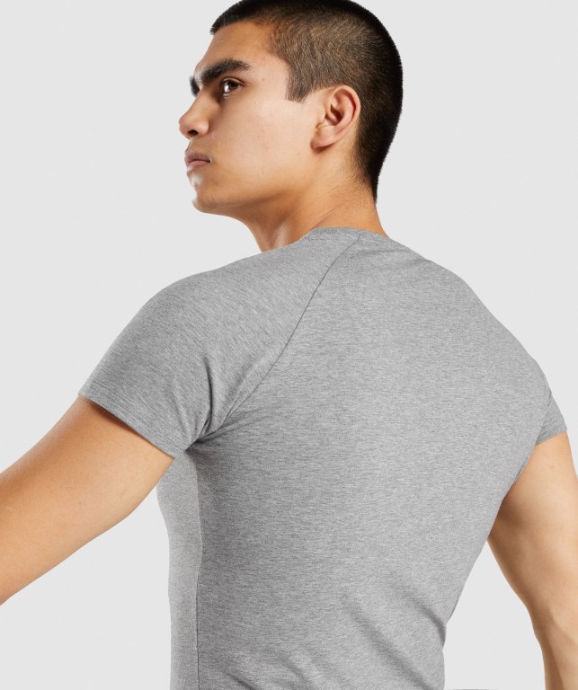 Grey Gymshark Apollo Men's T Shirts | US-37TRAGH