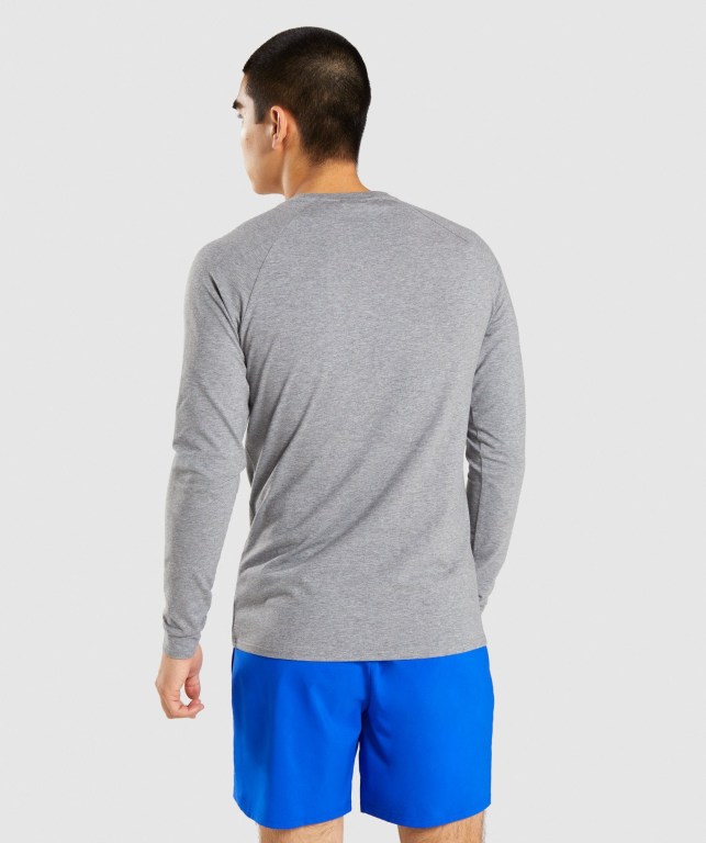 Grey Gymshark Apollo Men's T Shirts | US-39VJWIK