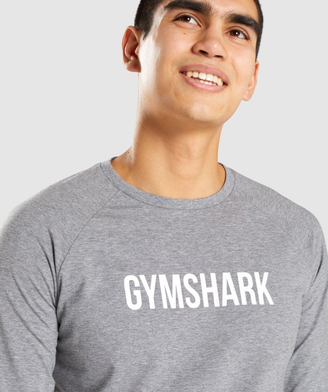 Grey Gymshark Apollo Men's T Shirts | US-39VJWIK