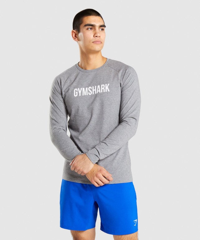 Grey Gymshark Apollo Men\'s T Shirts | US-39VJWIK