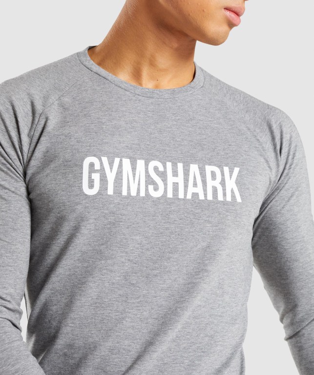 Grey Gymshark Apollo Men's T Shirts | US-58WAUSK