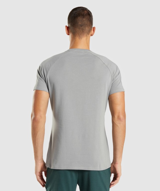 Grey Gymshark Apollo Men's T Shirts | US-64BWVED