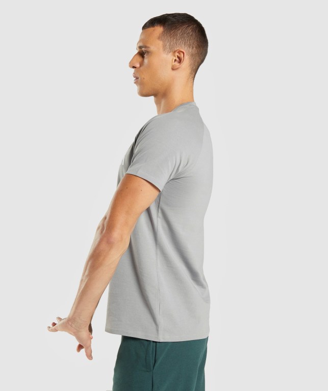 Grey Gymshark Apollo Men's T Shirts | US-64BWVED