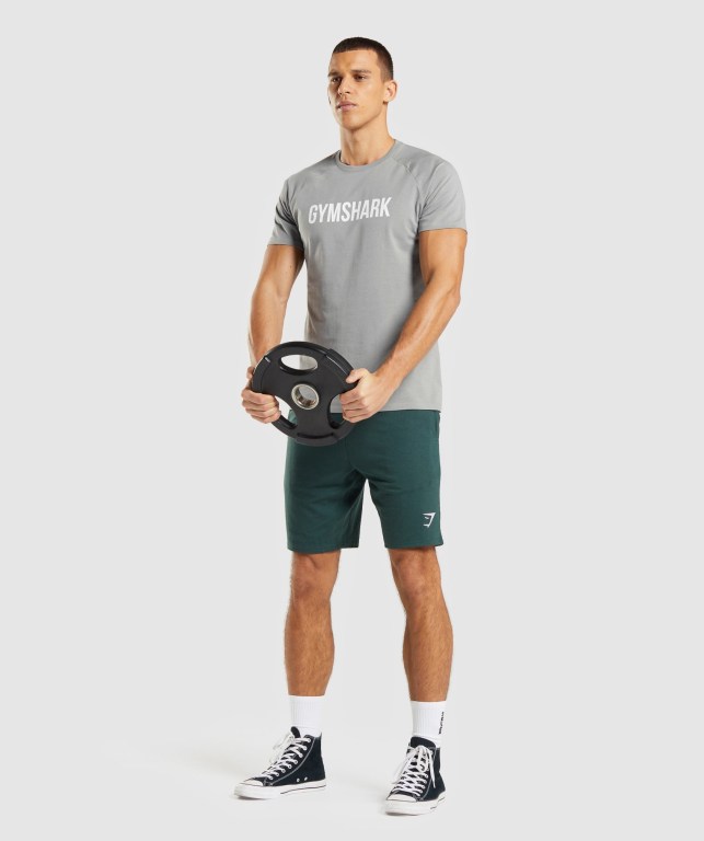 Grey Gymshark Apollo Men's T Shirts | US-64BWVED