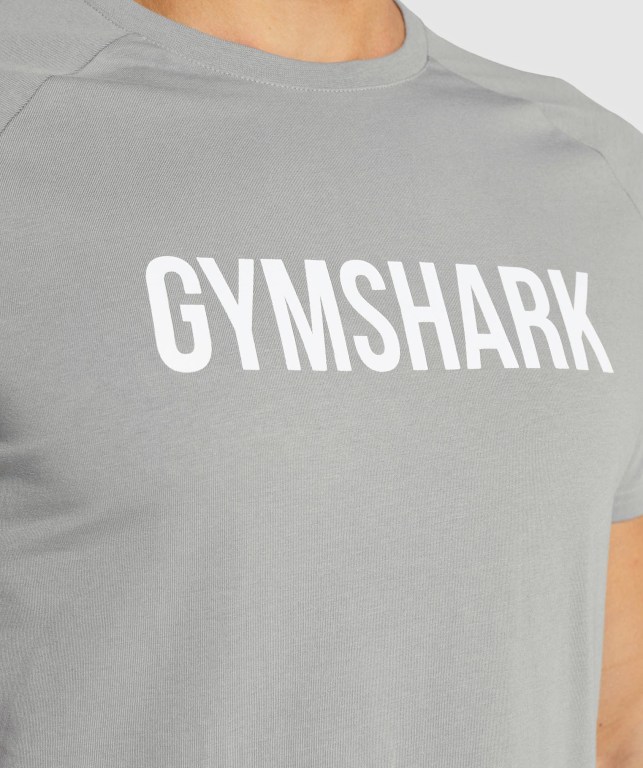 Grey Gymshark Apollo Men's T Shirts | US-64BWVED